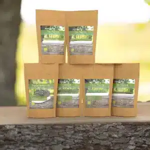 6er Saatgut Microgreens