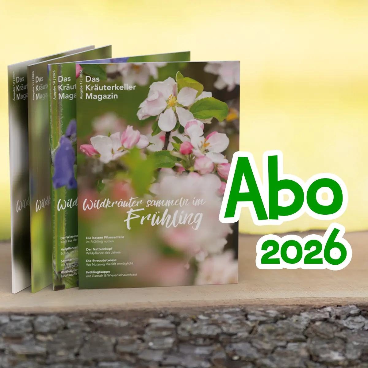 Magazin Abo 2026