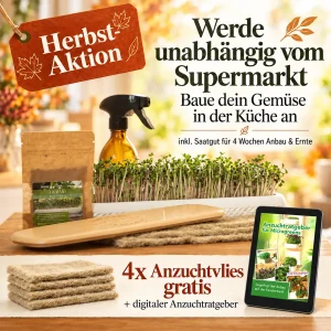 Mini Garten Aktionsset Herbst