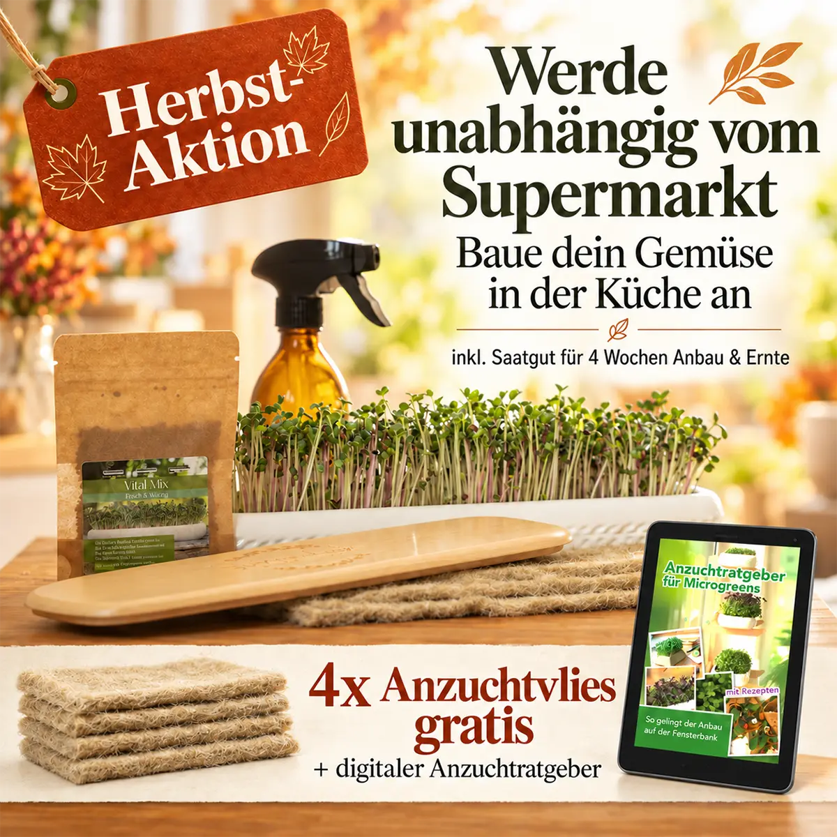 Mini Garten Aktionsset Herbst
