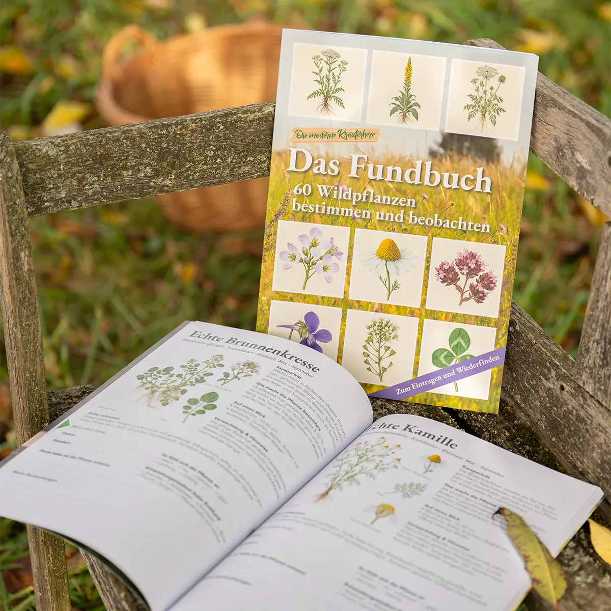 Das Fundbuch - 60 Wildpflanzen sicher erkennen und sammeln