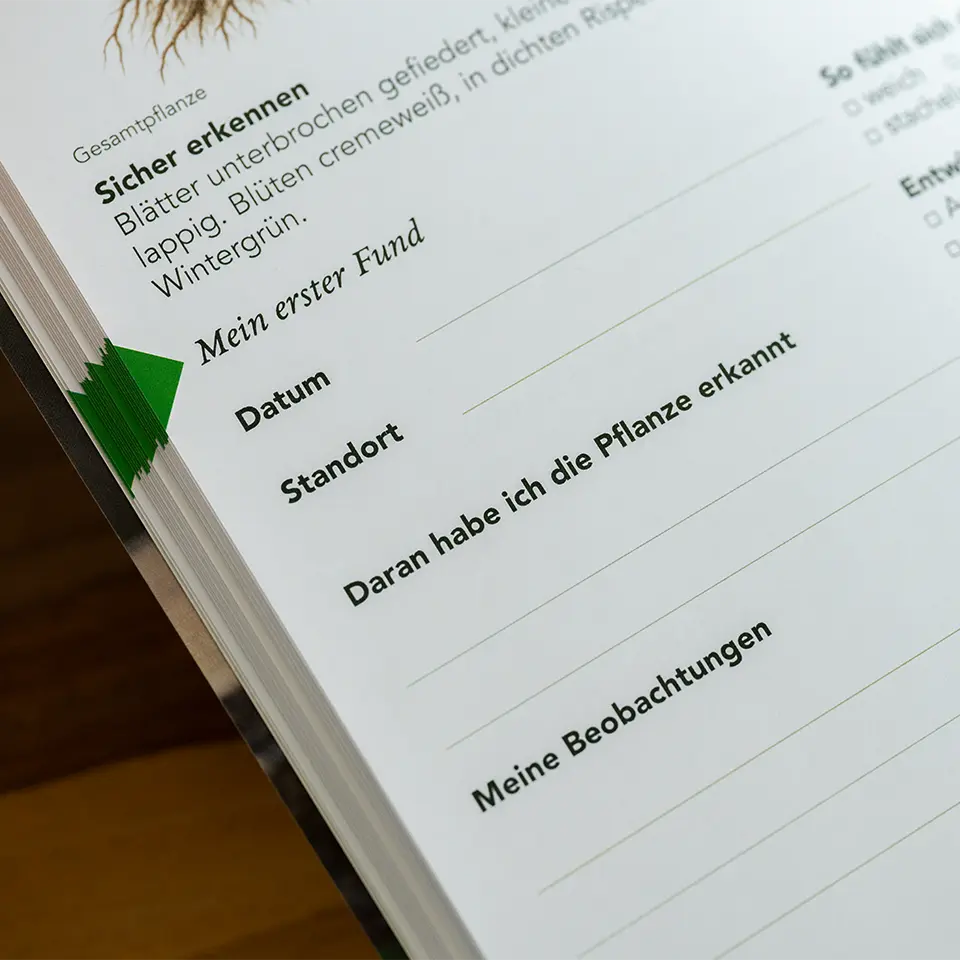 Eintragungen vornehmen in das Fundbuch