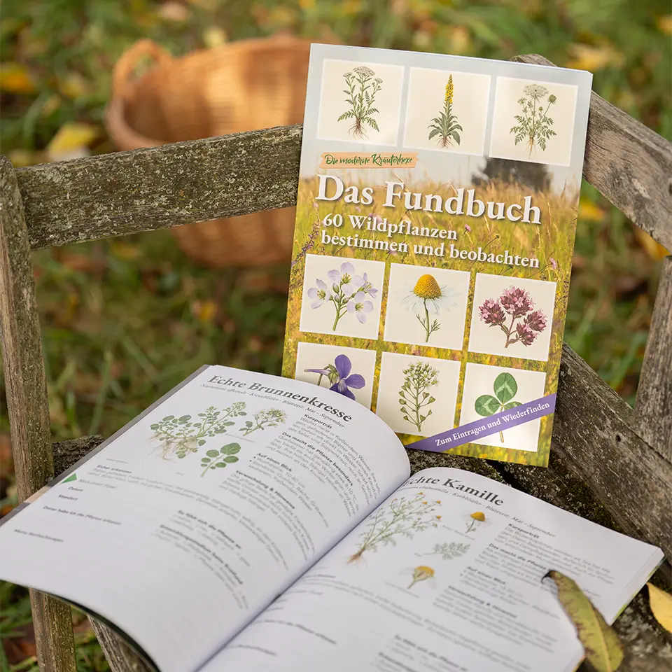 Das Fundbuch - Inhalt