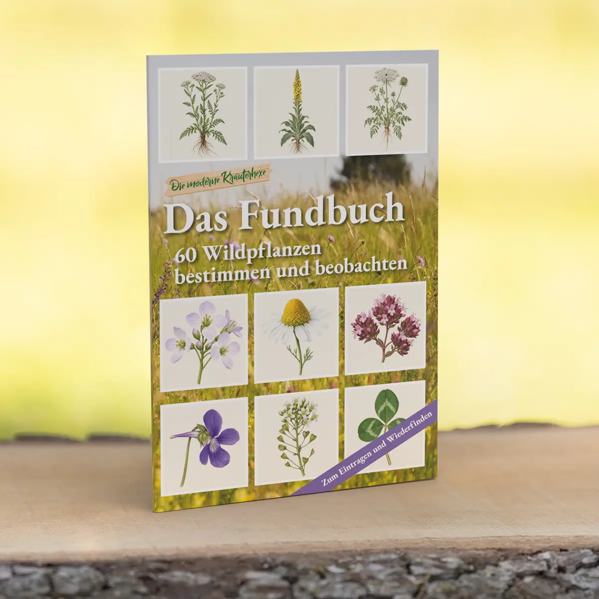 Das Funbduch - 60 Wildpflanzen sicher erkennen und bestimmen