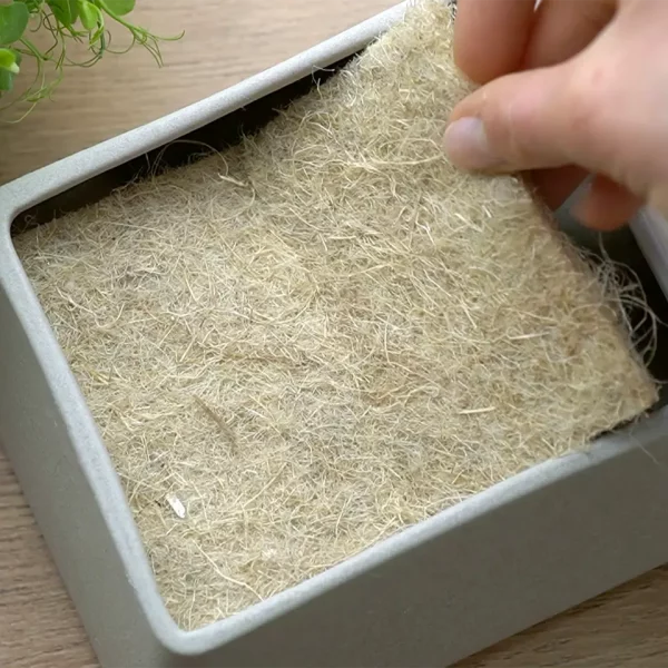 Microgreens ziehen ohne Gießen – Starterset mit Wasserspeicher - Herbstaktion – Bild 4