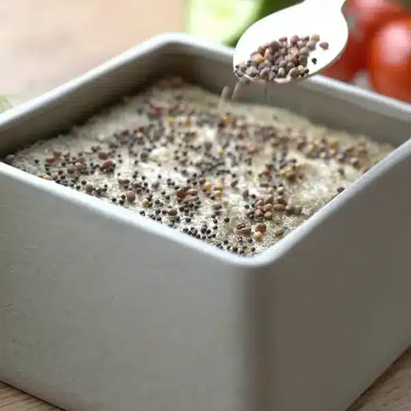 Microgreens ziehen ohne Gießen – Starterset mit Wasserspeicher - Herbstaktion – Bild 6