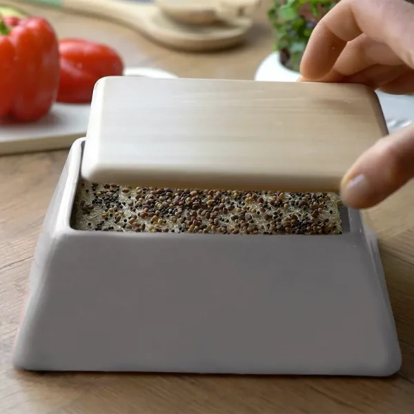Microgreens ziehen ohne Gießen – Starterset mit Wasserspeicher - Herbstaktion – Bild 7