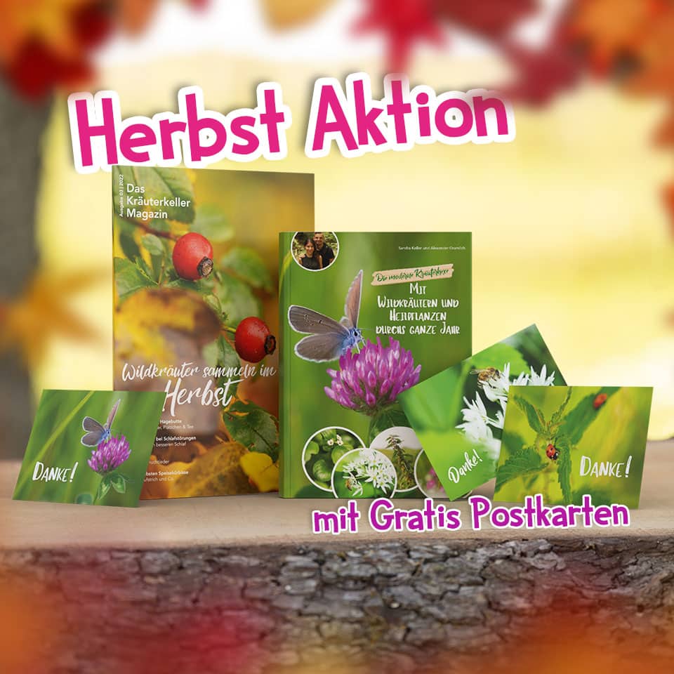 Herbst Aktion