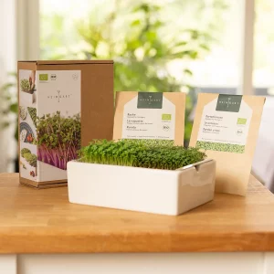 Heimgart Anzuchtschale mit frischen Rauke- und Kresse-Microgreens neben Bio-Saatpads