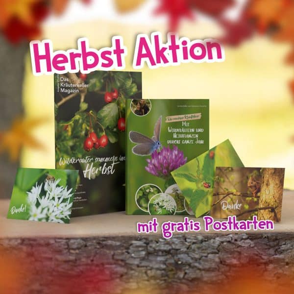 Herbst Aktion 2023