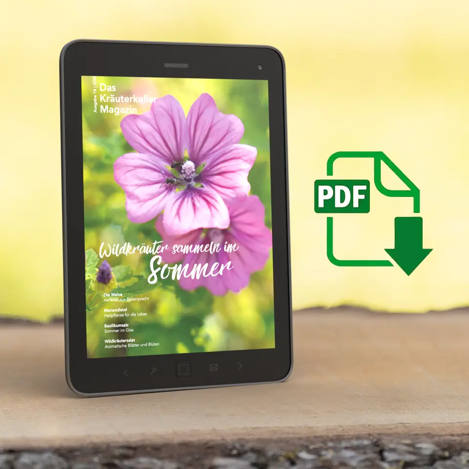 Wildkräutermagazin Sommer 2026 digital
