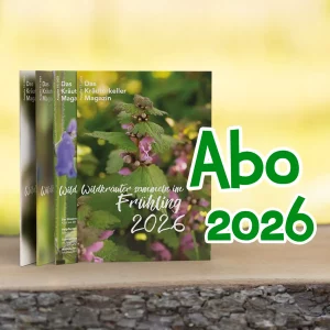 Magazin Abo für 2026