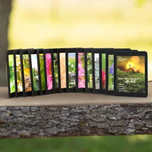 Digitale Gesamtausgabe des Wildkräuter Magazins