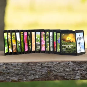 Digitale Gesamtausgabe des Wildkräuter Magazins