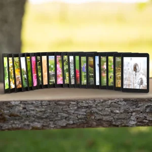 Digitales Komplettes Wildkräuter Magazin 2026