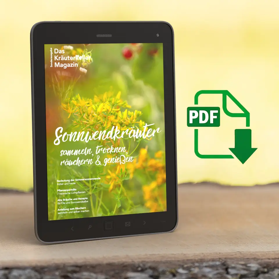 Sonderausgabe Sonnwendkräuter zur Sonnenwende