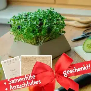 Microgreens Aktion ohne zu gießen