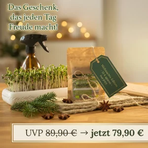 Mini Garten Weihnachtsgeschenk 2025
