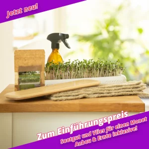 Frische Microgreens in handgemachter Keramik-Anzuchtschale mit Holzdeckel und Hanfvlies auf der Fensterbank – Mini-Garten für gesunde Ernährung zuhause