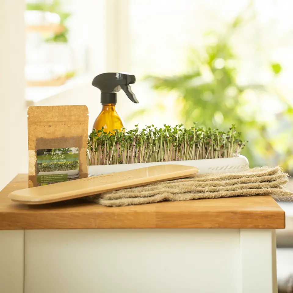Mini-Garten für die Fensterbank - mit Saatgut und Vlies für 4 Wochen – Bild 2