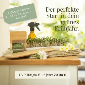 Mini Garten für die Fensterbank mit Anzuchtschale und Saatgut