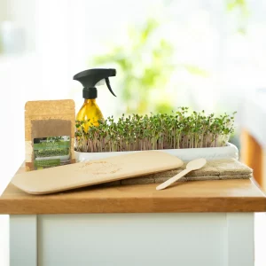Mini Garten Starterset Microgreens