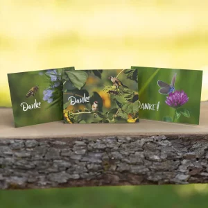 3er Postkartenset "Danke"