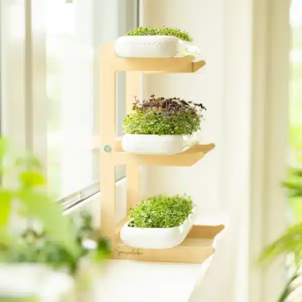 Selbstversorgerset für Microgreens