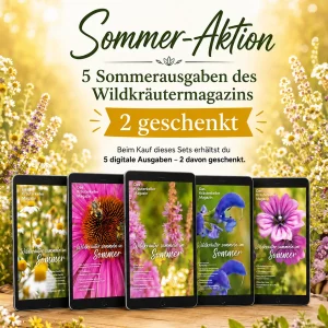 Wildkräuter Sommermagazin Aktion