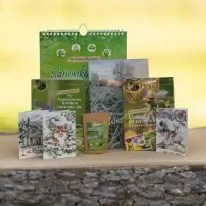 Wildkräuter und Heilpflanzen im Winter - Starterset