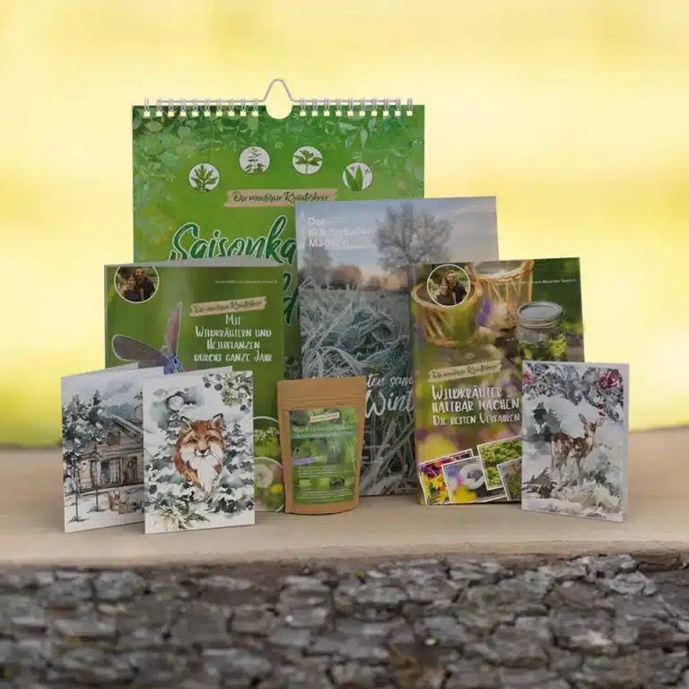 Wildkräuter und Heilpflanzen im Winter - Starterset