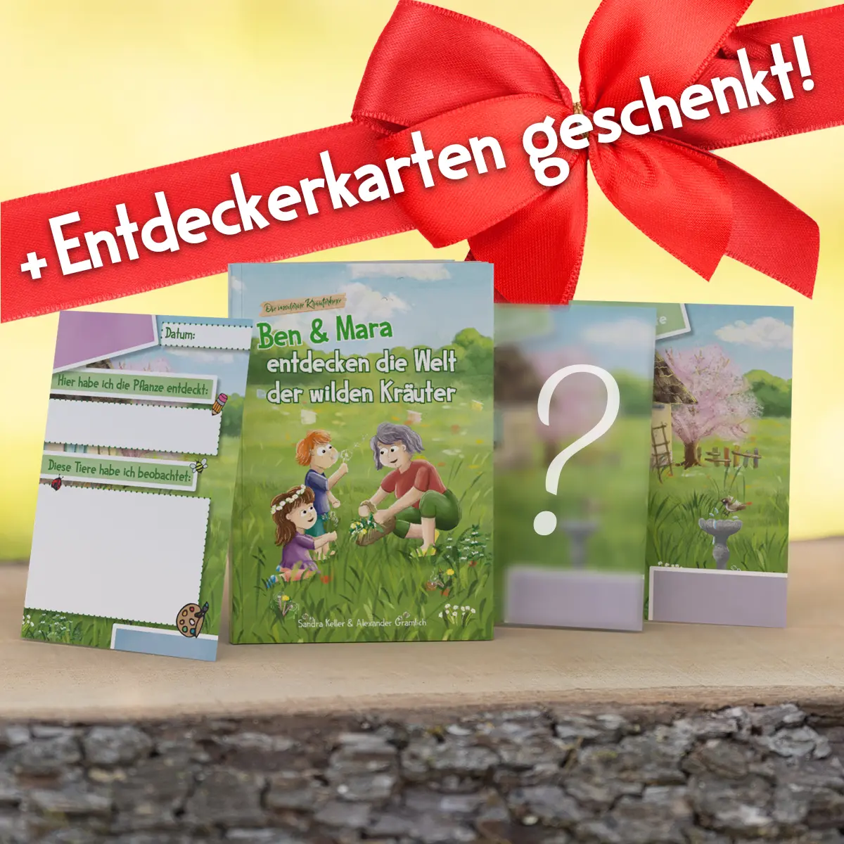 Entdeckerset für Kinder