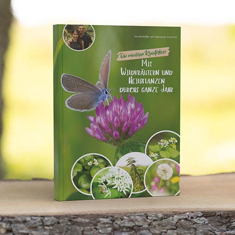 Wildkräuter Buch - Mit Wildkräutern und Heilpflanzen durchs ganze Jahr