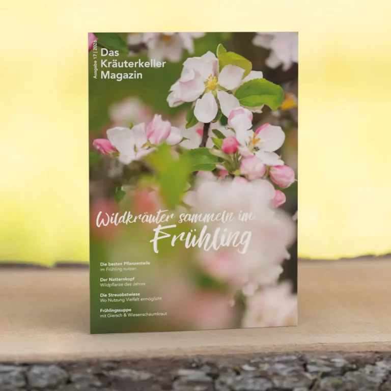 Wildkräuter Magazin für den Frühling 2026