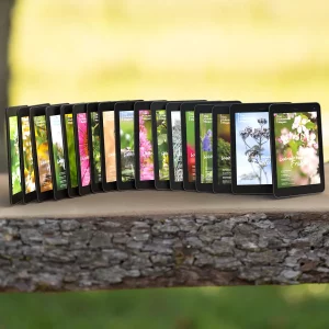 Digitale Gesamtausgabe des Wildkräuter Magazins