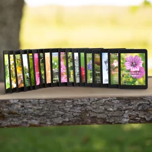 Digitale Gesamtausgabe des Wildkräuter Magazins