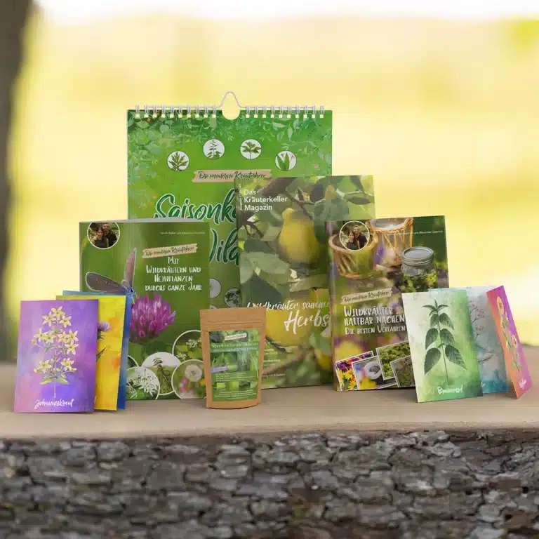 Wildkräuter und Heilpflanzen im Herbst 2025