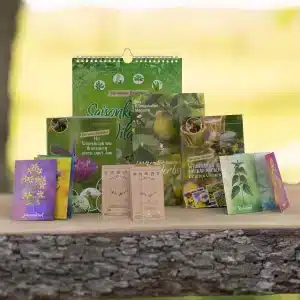 Wildkräuter Starterset für den Herbst