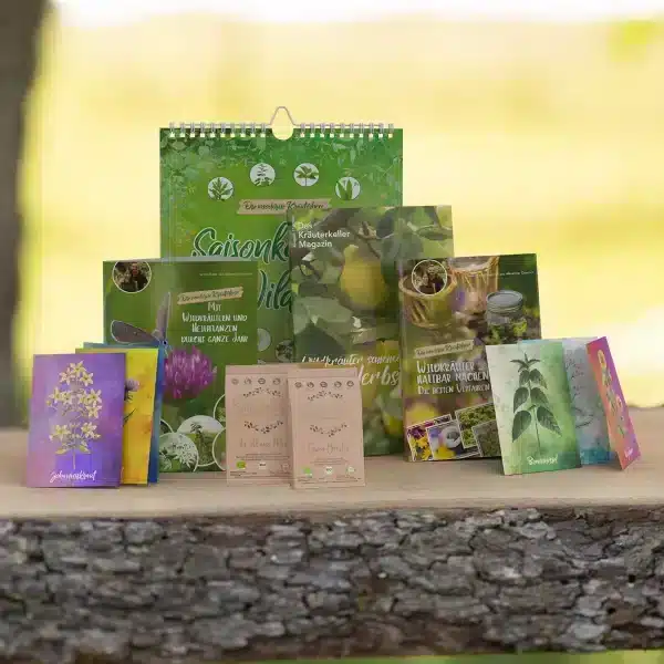 Wildkräuter Starterset für den Herbst