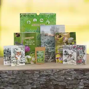 Wildkräuter und Heilpflanzen im Winter - Starterset