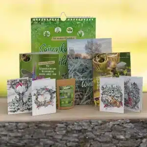 Wildkräuter und Heilpflanzen im Winter - Starterset